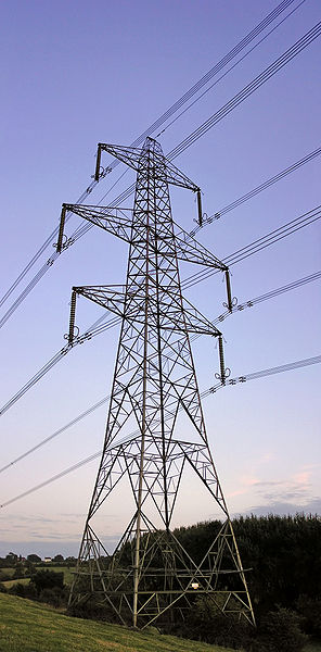 Pylon ds